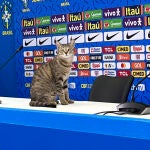El gato que se coló en la rueda de prensa de Vinicius