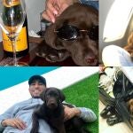 Las fotos de Rai conquistan las redes