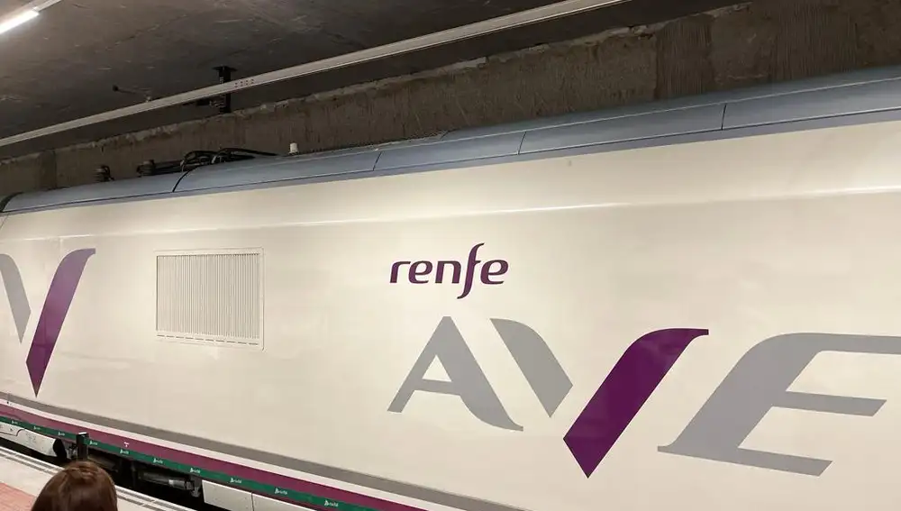 El primer AVE en su llegada a la Estación de Murcia del Carmen
