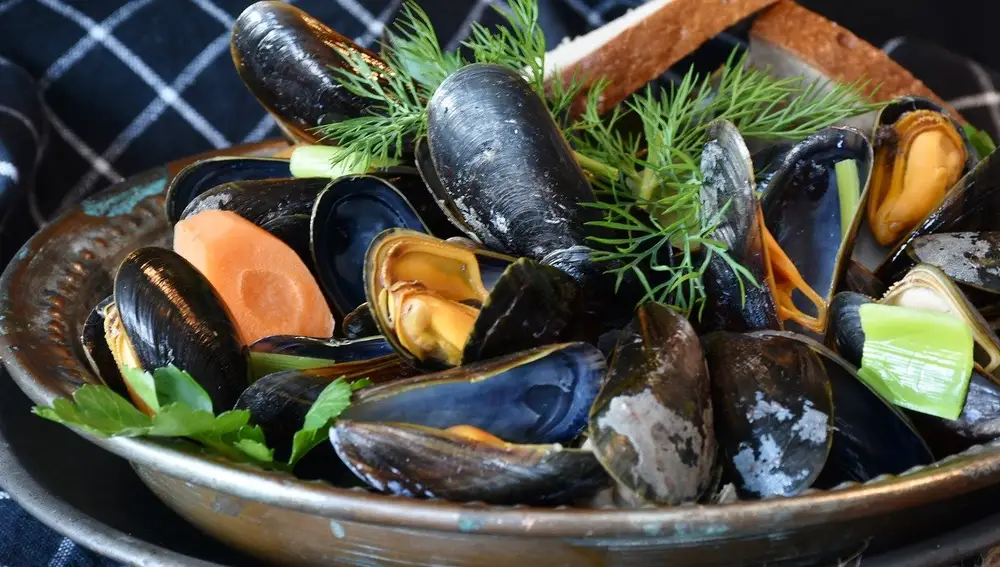 Mejillones