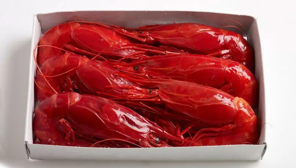 Carabineros