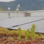 Grenoble, convertida en Capital Verde Europea 2022, lleva años apostando por fuentes de energía renovable.