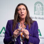 La consejera de Inclusión Social, Juventud, Familias e Igualdad, Loles López en la rueda de prensa posterior al Consejo de Gobierno de la Junta de Andalucía. María José López / Europa Press