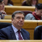 El ministro de Agricultura, Pesca y Alimentación, Luis Planas