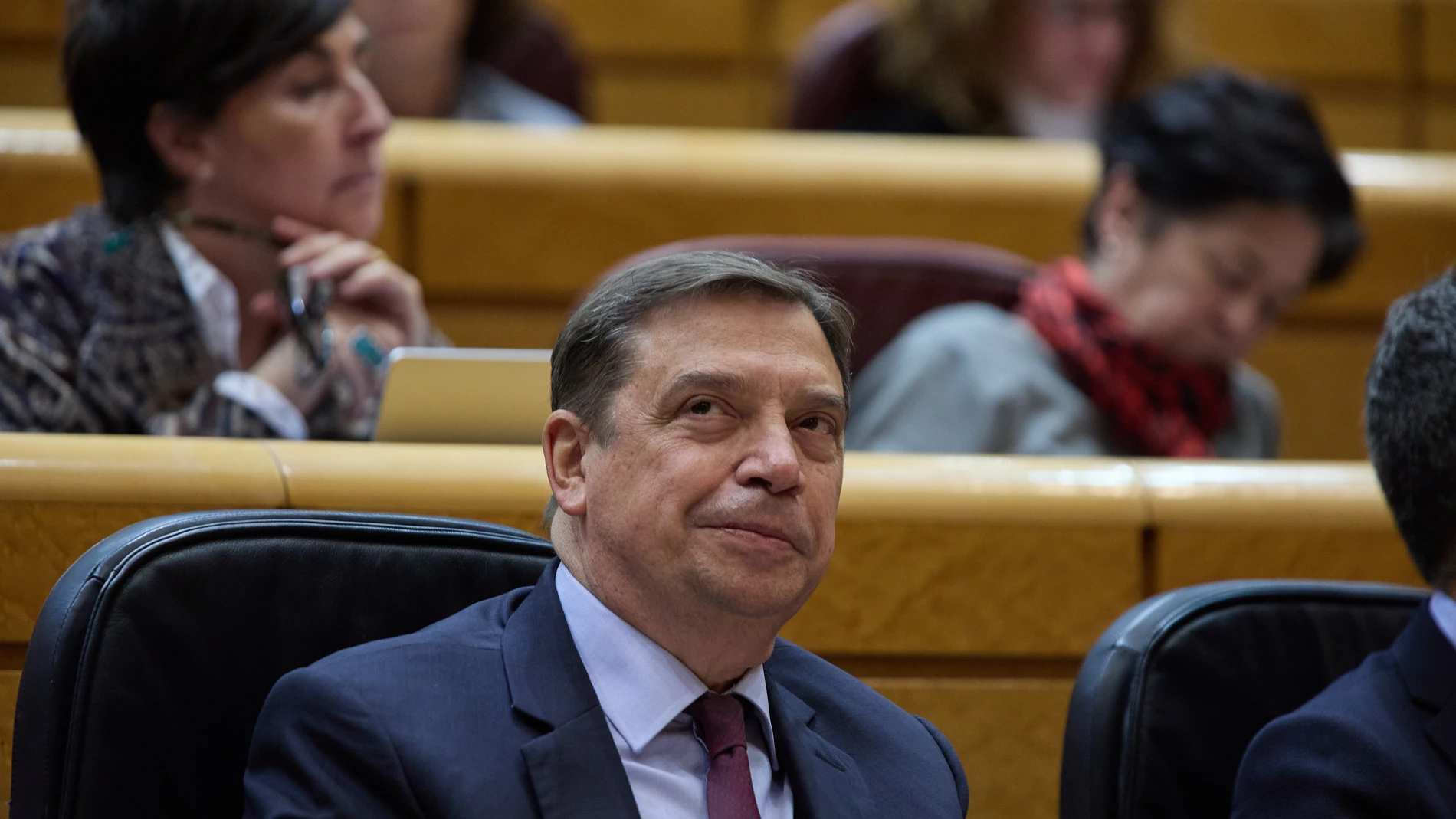 El ministro de Agricultura, Pesca y Alimentación, Luis Planas