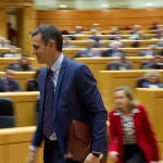El presidente del Gobierno, Pedro Sánchez, durante una sesión de control al Gobierno en el Senado.