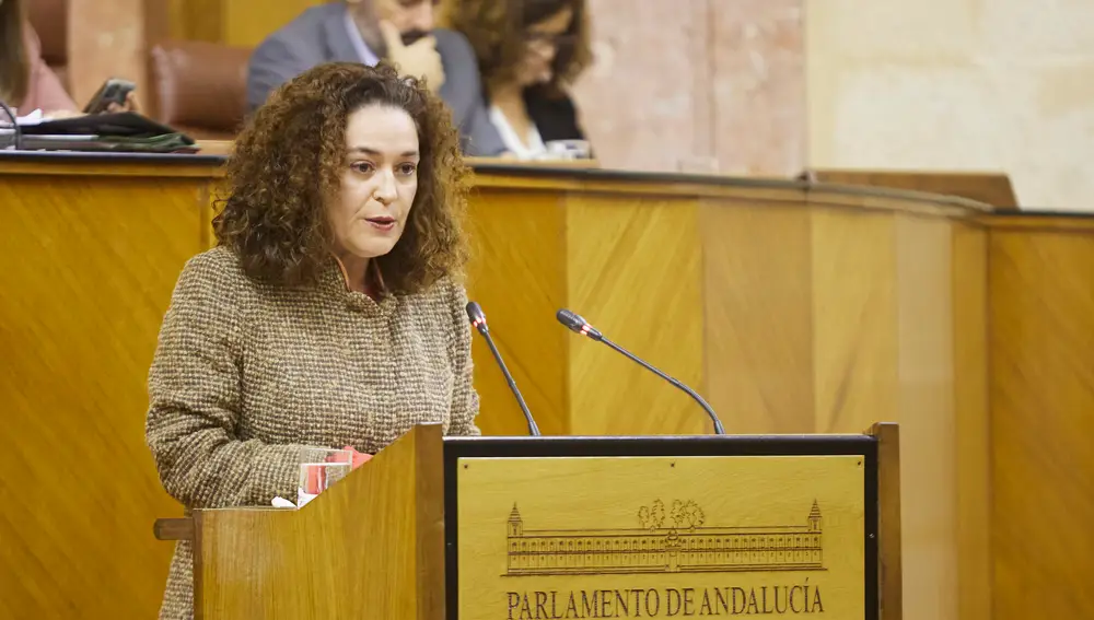 La portavoz del Grupo Por Andalucía, Inmaculada Nieto. Joaquín Corchero / Europa Press