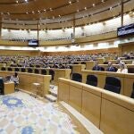 El Pleno del Senado tendrá que elegir al sustituto del magistrado conservador Alfredo Montoya por mayoría de 3/5