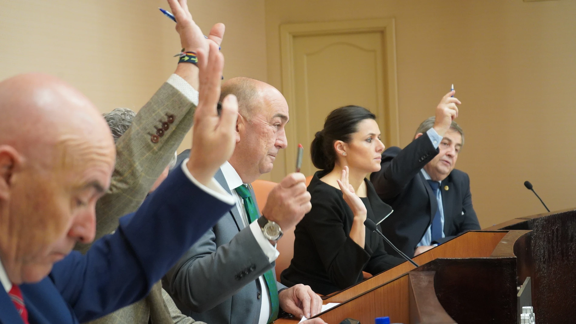 Pleno de la Diputación de Segovia
