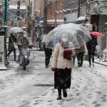 Tokio ha vivido fuertes nevadas en Japón durante este fin de semana