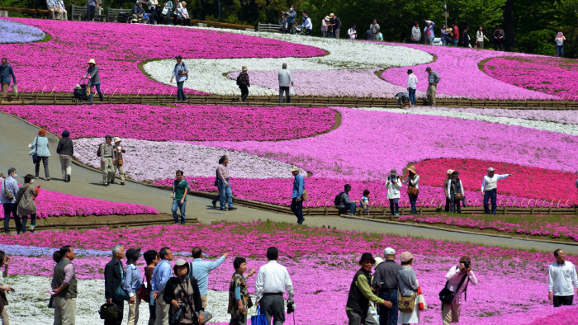 El secreto de los japoneses para reducir la hipertensión