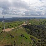 La compañía eléctrica será cero emisiones en 2050