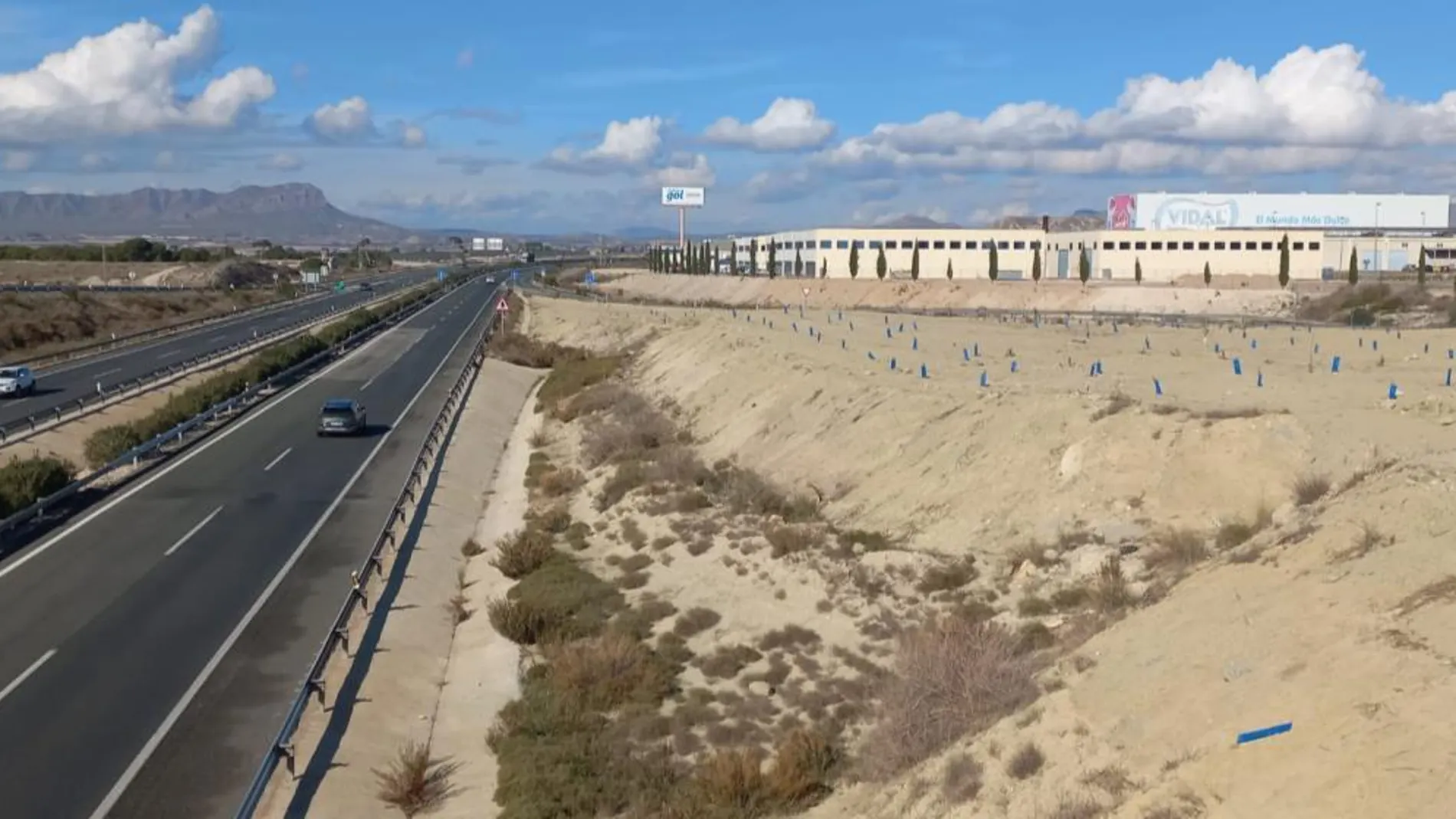 Plantación arbórea finalizada en el enlace de la autovía A-30, en la Región de Murcia