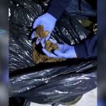 Operación Sirena de la Policía Nacional y Guardia Civil