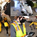 "Spot" surge de la colaboración de la filial norteamaricana de ACS «Turner» con Boston Dynamics