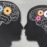 Cerebros masculinos y femeninos