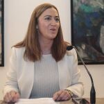La delegada del Gobierno en Castilla y León, Virginia Barcones