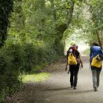 El Camino de Santiago francés será protagonista en Fitur