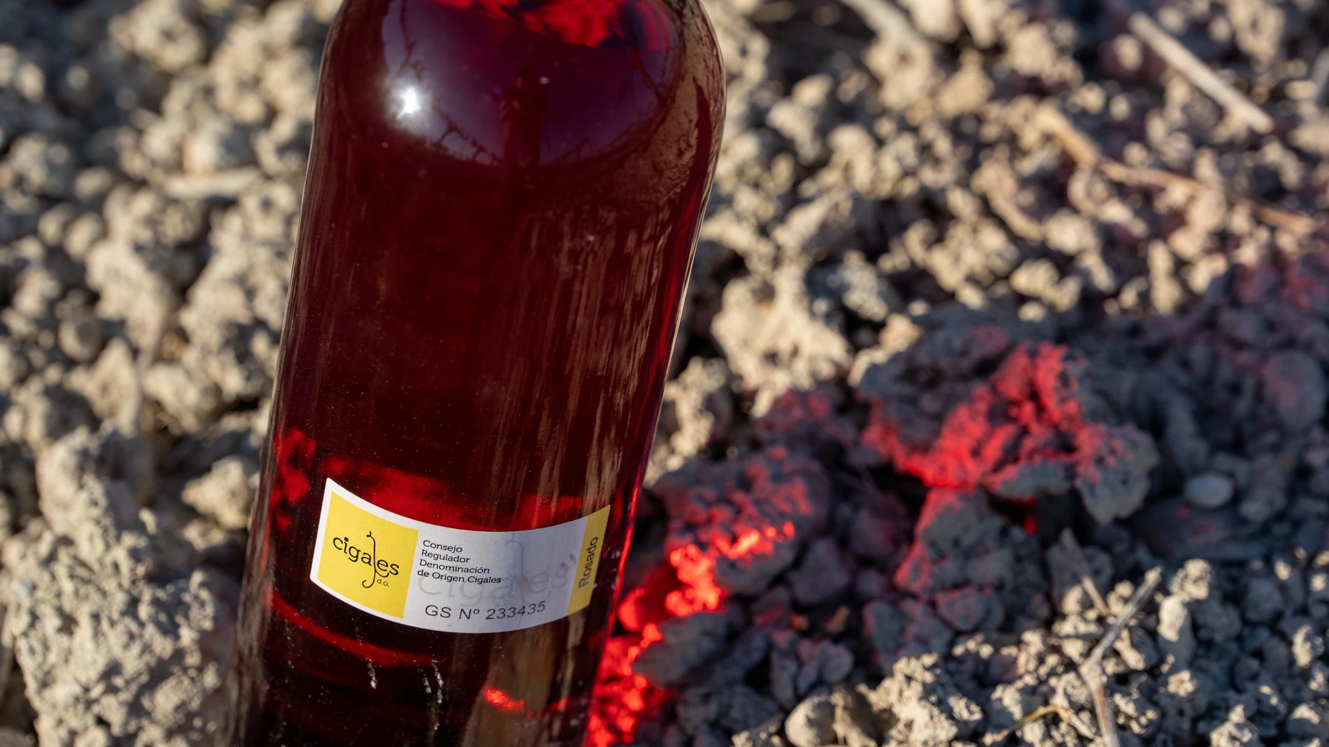 Botella de archivo de un rosado de la DO Cigales