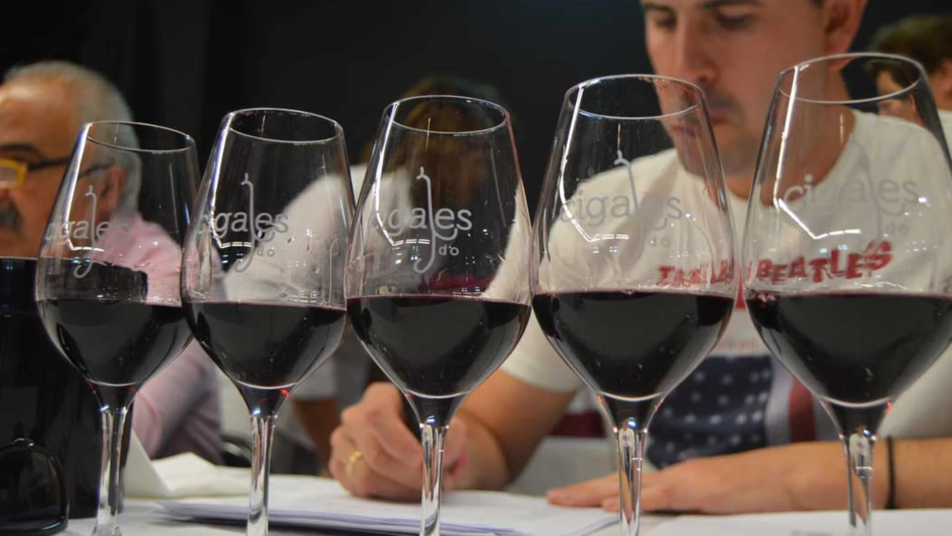 Cata de vinos tintos de la DO Cigales