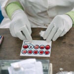 La tripanosomiasis podría convertirse en la primera patología en desaparecer gracias a un medicamento en lugar de una vacuna