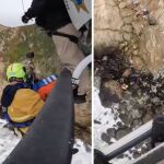 El propio conductor del vehículo, de la marca Tesla, fue rescatado del fondo del mar con graves heridas tras haber caído por el acantilado