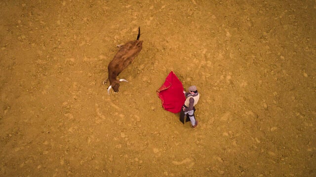 Entrevista con el torero Diego Urdiales en la ganadería El Montecillo en Arisgotas (Toledo)