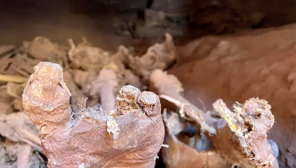 Algunos de quienes murieron mientras rezaban en Lalibela están al alcance de quienes visitan las Iglesias.