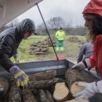 Una pareja recoge troncos del reparto solidario de leña en Manzanares el Real