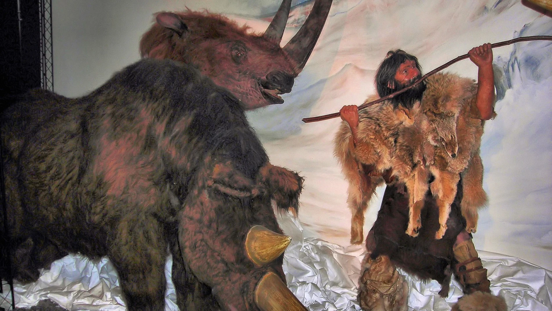Representación artística de un neandertal al lado de un rinoceronte lanudo