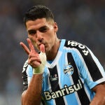 El uruguayo Luis Suárez de Gremio celebra un gol en la final de la Recopa Gaúcha