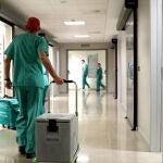 Preparando un trasplante en el Hospital La Fe de Valencia