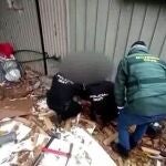 Requisadas más de mil plantas de marihuana y 5 pistolas de un cultivo hipropónico de marihuana en Cañada Real