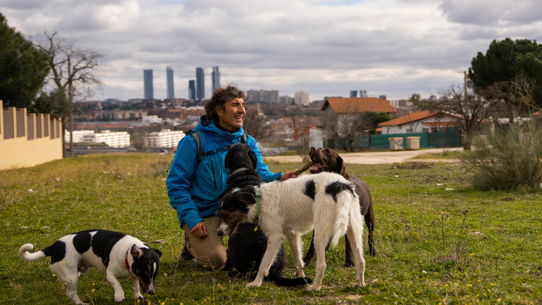 De profesión, paseador de perros