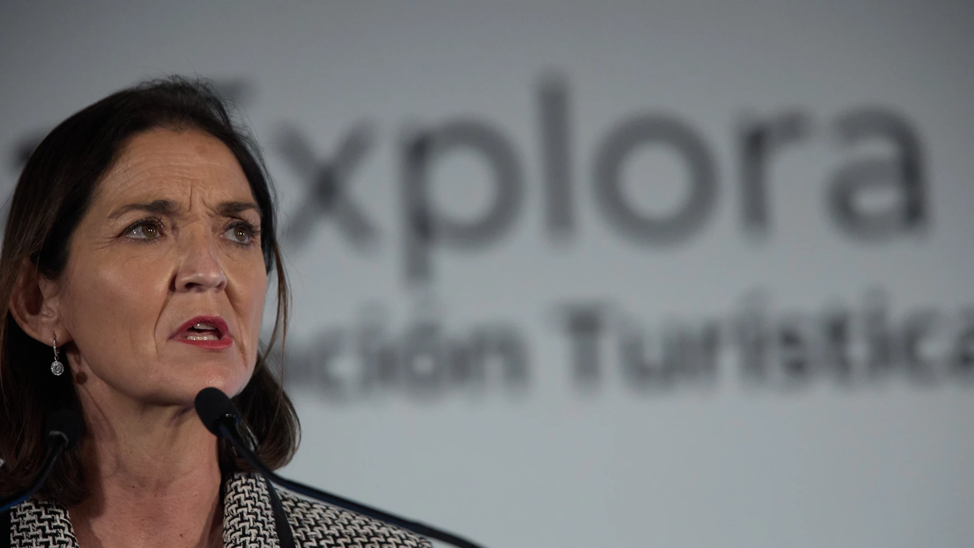 La ministra de Industria, Comercio y Turismo, Reyes Maroto