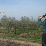 Agente de la Guardia Civil en una finca agrícola. GUARDIA CIVIL
