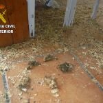 Estado en el que los agentes del Seprona encontraron la tienda de animales situada en la zona norte de la isla de Tenerife, donde varios conejos y hámster fallecieron de inanición