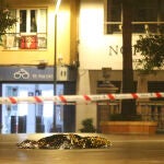 El cuerpo sin vida del sacristán en la plaza de la Palma de Algeciras