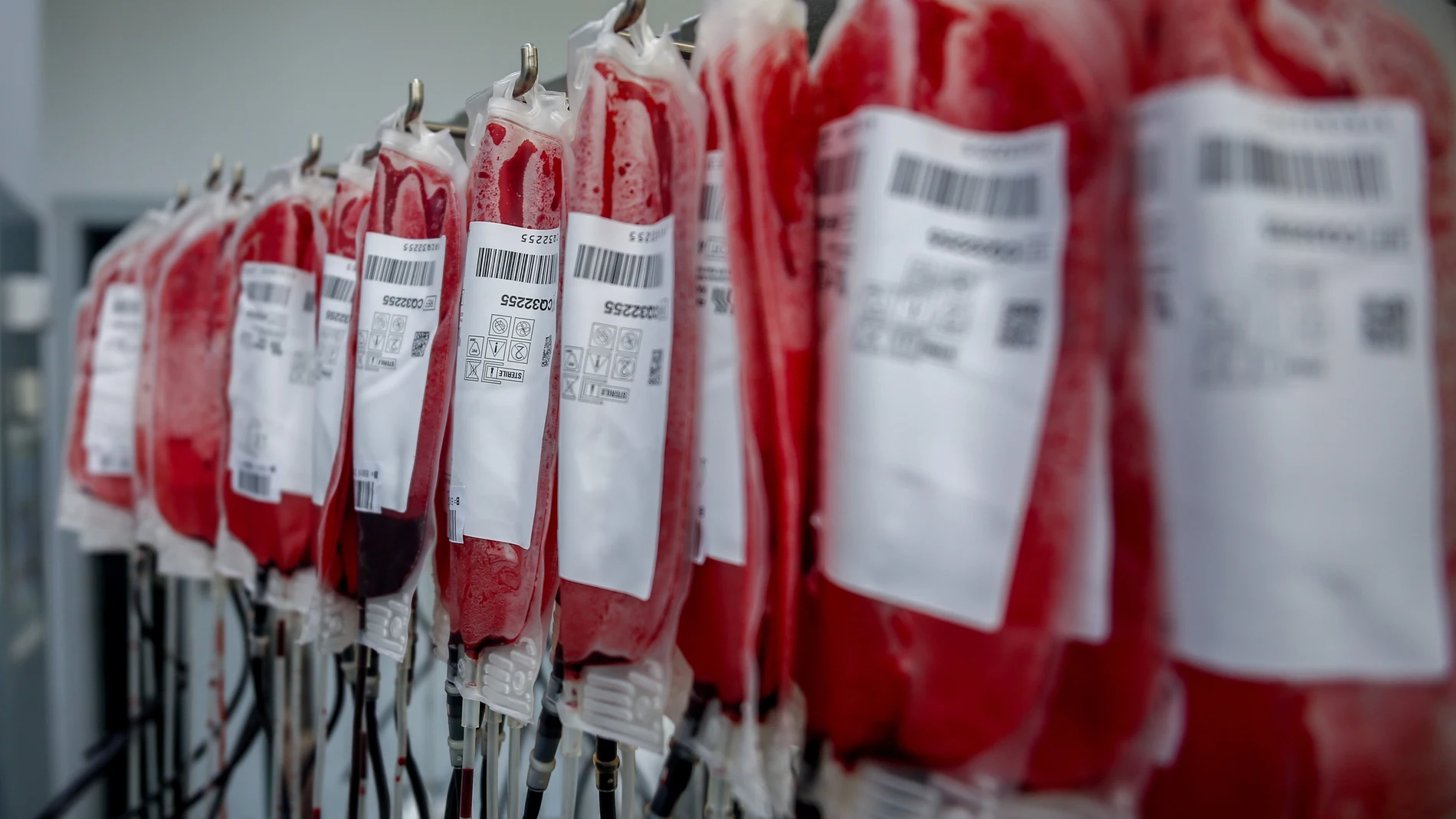 Bolsas de donación de sangre