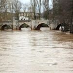 Puente del río Arlanzón en el tramo Quintana del Puente-Villodrigo