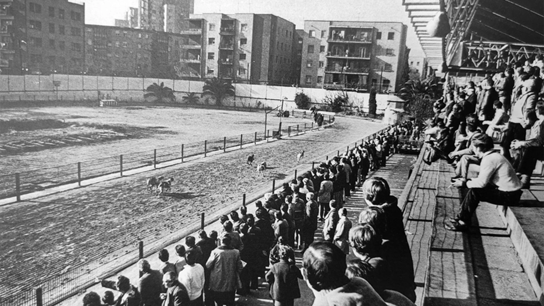 El Canódromo de la Meridiana en una imagen de archivo
