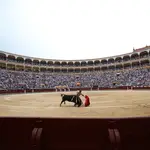 TOROS EN LAS VENTAS FERIA DE SAN ISIDRO