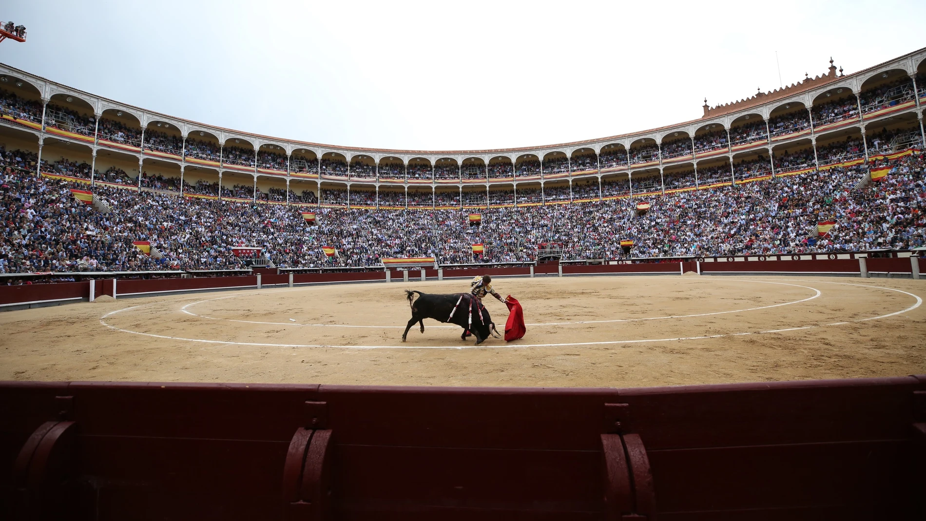 TOROS EN LAS VENTAS FERIA DE SAN ISIDRO