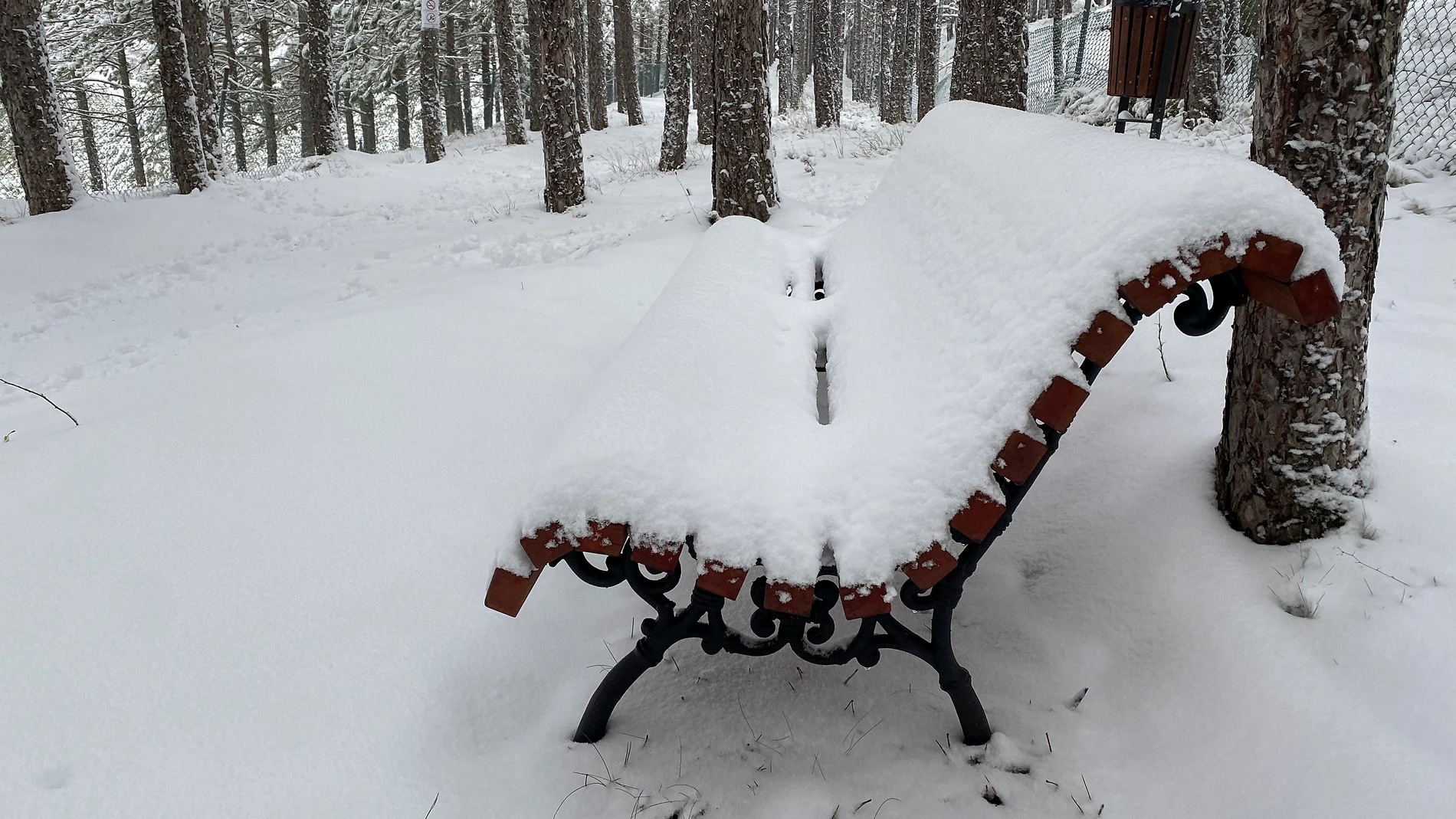 Detalle de un banco cubierto de nieve