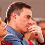 El secretario general del PSOE y presidente del Gobierno, Pedro Sánchez, participa en un acto del partido en Málaga