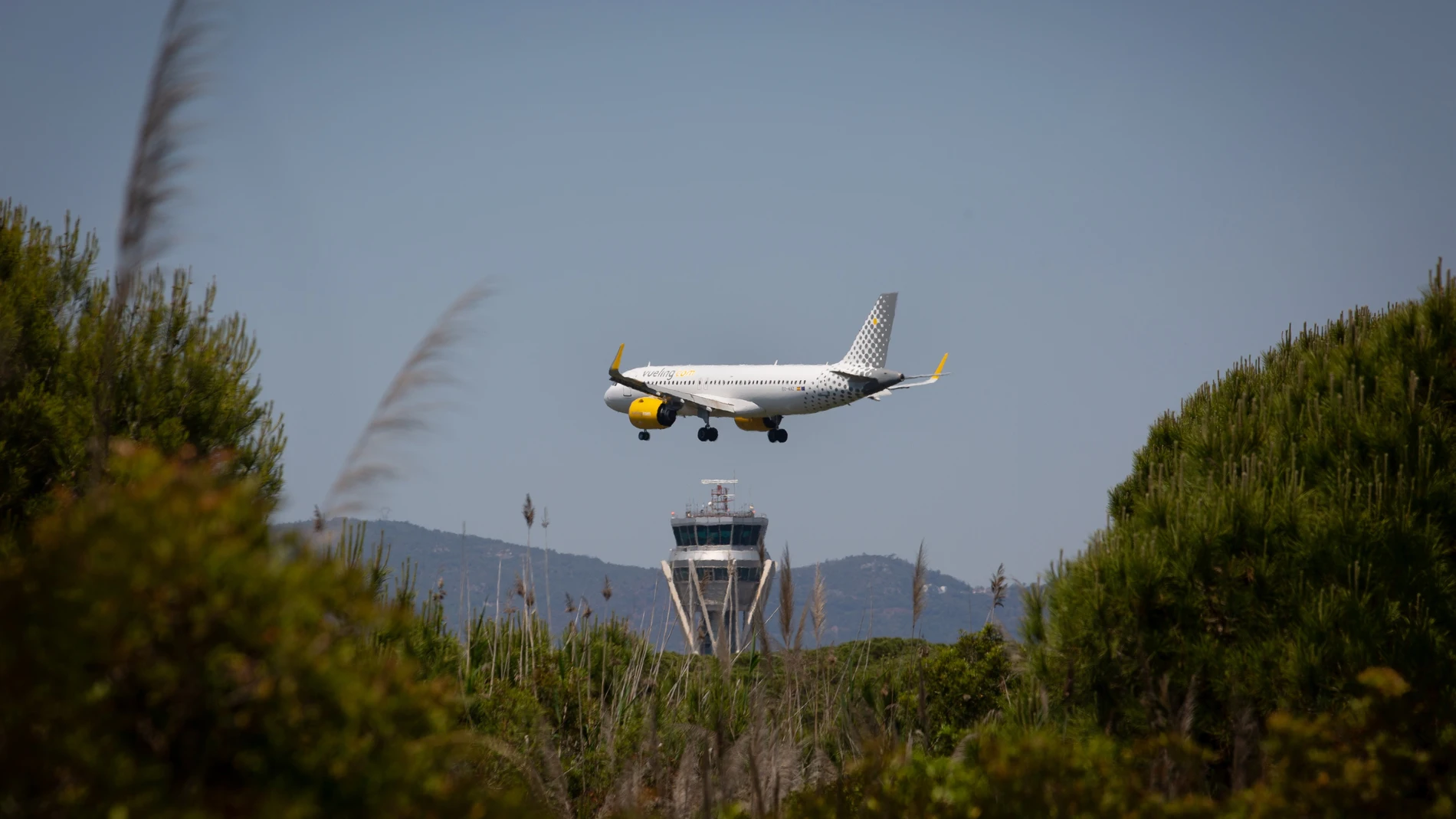 Un avión sobrevuela El Prat