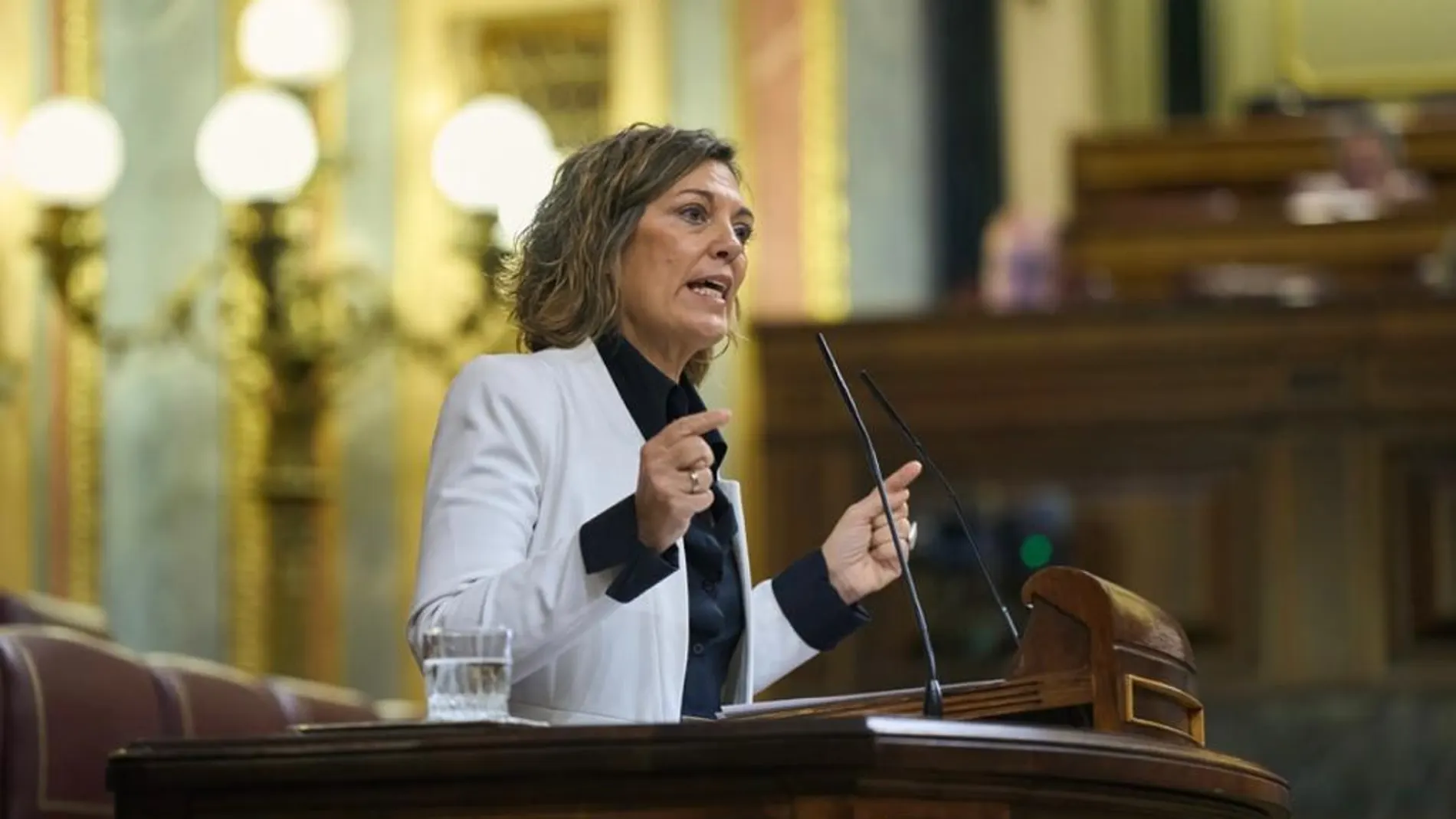 La portavoz de Agricultura del GPP; Milagros Marcos