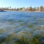 López Miras critica que el Gobierno central no gastara "ni el 1%" de los 55 millones presupuestados para el Mar Menor