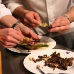 Cocina con insectos