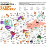¿Cuál es la raza de perro más popular en España? Descúbrelo en este mapa